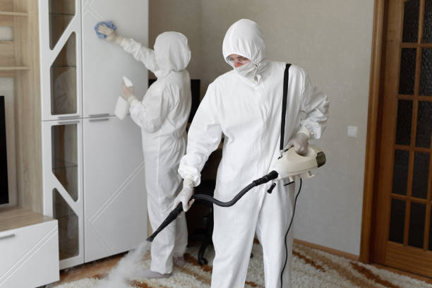 Biohazard Mold Removal in Malvern, PA